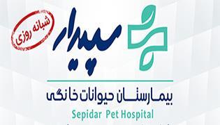 بیمارستان دامپزشکی سپیدار سعادت آباد