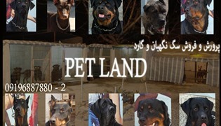 petland